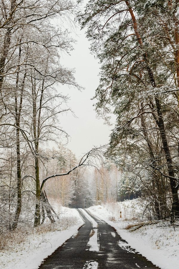 Stay safe on winter roads : essential weather safety tips